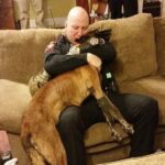 As I said my goodbyes to my K9 partner, I broke down…