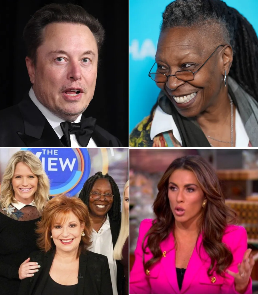 Elon Musk called for a BOYCOTT of The View, calling it a ”meeting place for stupid women” The entire cast immediately responded angrily.
