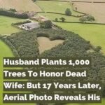 Everlasting Love: How a Hidden Heart Forest Changed the World