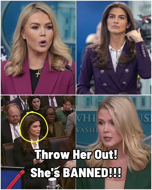 Following the STUPlD Question, Karoline Leavitt B@NS CNN’s Kaitlan Collins from the Press Brief