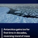 Antarctica sees first ice gain in decades