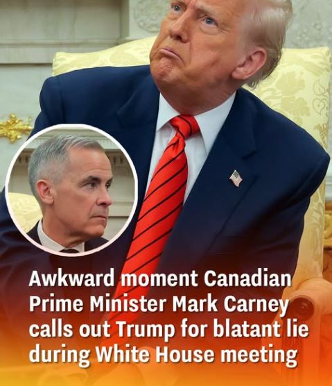 Awkward moment Canadian Prime Minister Mark Carney calls out Trump for blatant lie during White House meeting