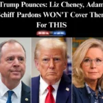 Biden Pardons Of Fauci, Cheney, Schiff Won’t Cover Lying To Congress: Analysts