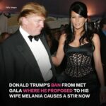 Details About Donald Trump Not Being Invited Back to the Met Gala Resurface – What Happened