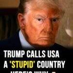 Donald Trump calls US ‘stupid country’ amid controversial case