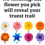 Flower Uncovers Secret Aspects of Your Personality