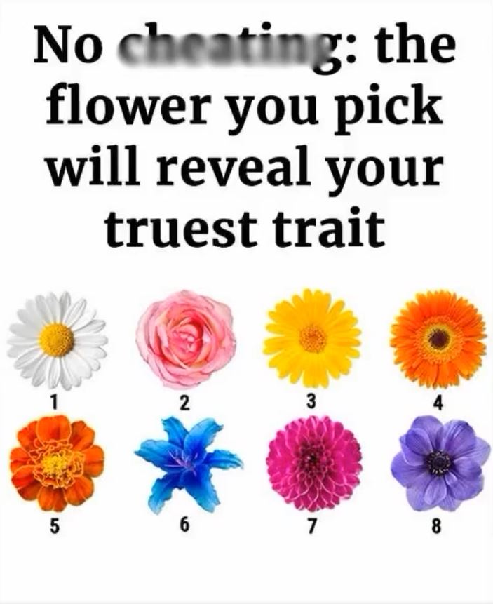 Flower Uncovers Secret Aspects of Your Personality