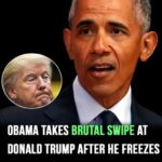 Obama’s “Donald Trump after he freezes Harvard funding”