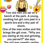 Old men sitting on a bench joke
