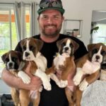 On the side of the road, I discovered four boxer puppies