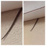 Online user finds creepy object hanging from ceiling