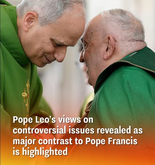 Pope Leo’s views on controversial issues revealed as major contrast to Pope Francis is highlighted