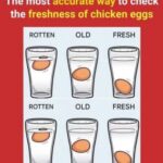 The Best Method to Check Egg Freshness (It Actually Works)