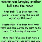 The Three Bulls