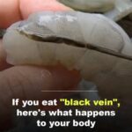 The Truth About Eating the Black Vein in Shrimp Tails