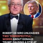 While accepting the Palme d’Or at Cannes 2025, Robert De Niro spoke about Donald Trump