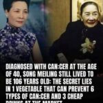 1 vegetable dish can prevent 6 types of cancer