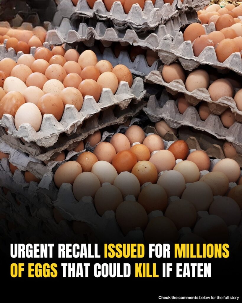 1.7 Million Dozen Eggs Recalled