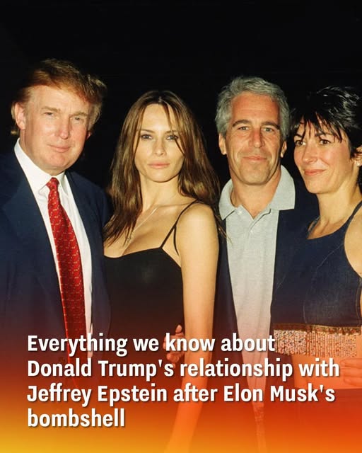 A Deep Dive Into Recent Political Drama