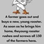 A farmer goes out and buys a new