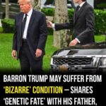 Barron Trump might be suffering from same ‘genetic condition’ as Donald Trump