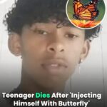 Boy, 14, dies after injecting himself with butterfly in viral online challenge