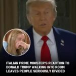 G7 Summit Video Sparks Debate Over Diplomatic Body Language and International Relations