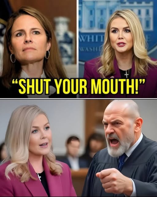 Judge Fined Leavitt $100K for Insulting Biden, 7 Minutes Later, Bondi Cuffed Him – VIDEO