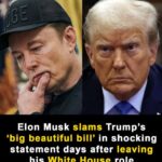 Musk explodes over Trump’s ‘pork-filled’ spending bill