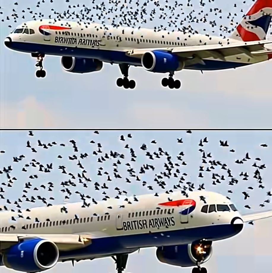 Pilot Reacted Emotionally When He Realized