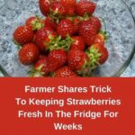 Strawberries Fresh Longer with These Simple Hacks