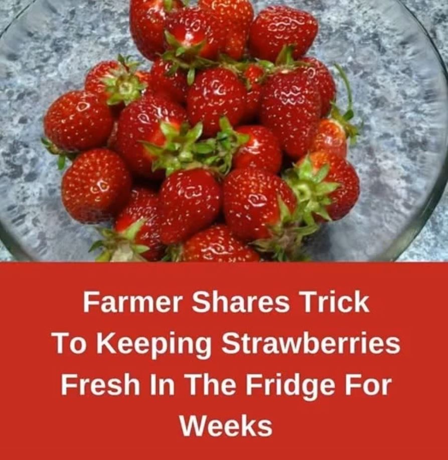 Strawberries Fresh Longer with These Simple Hacks