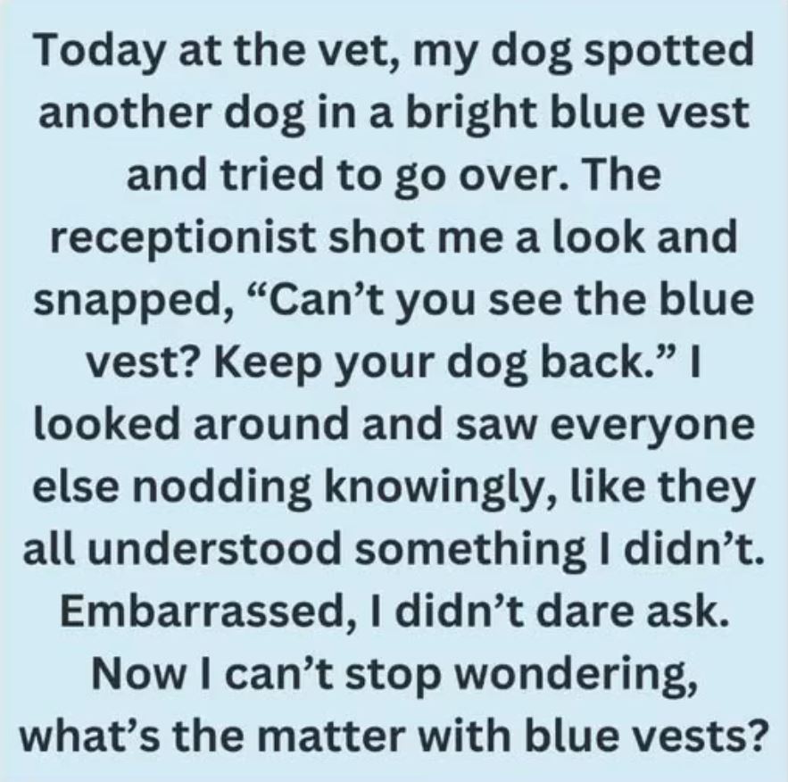 The Hidden Meaning Behind a Dog’s Blue Vest, Leash, or Bandana
