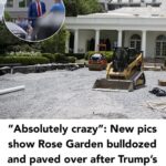 The White House Rose Garden is almost unrecognizable now