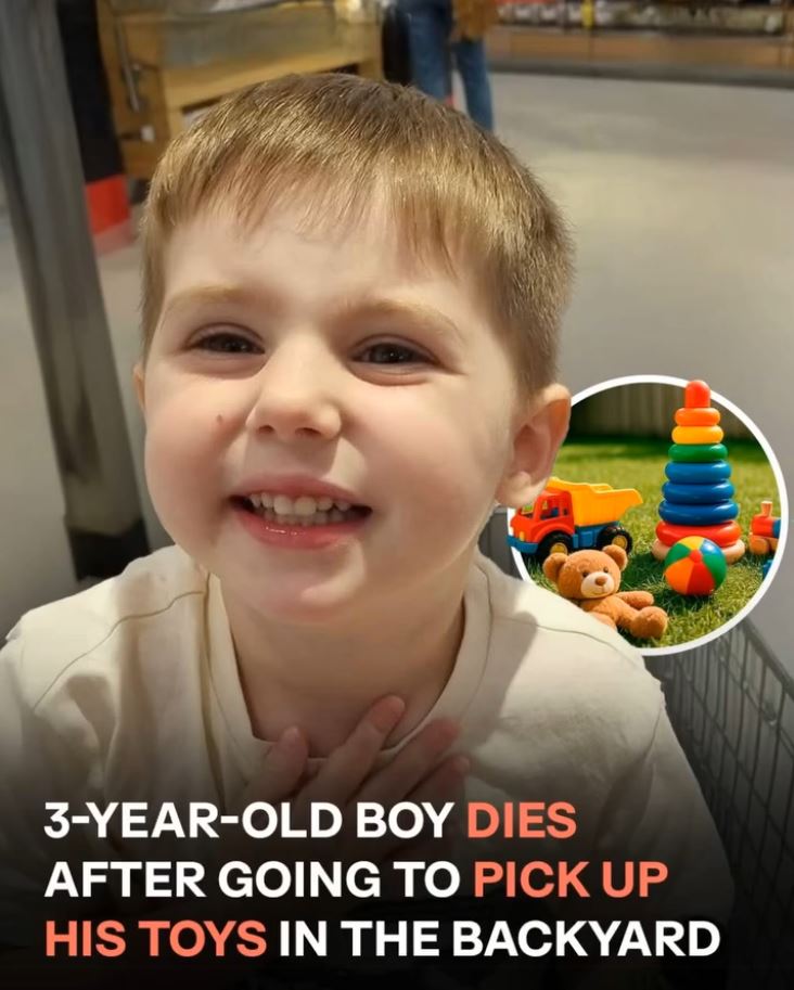 Tragic Loss: Toddler Dies After Stepping Outside to Retrieve Toys
