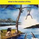 Trapped in the Jungle: Solving the Unsolvable Predicament