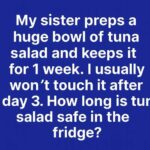 Tuna Salad: How Long Is It Safe to Keep in the Fridge? Here’s What Experts Say