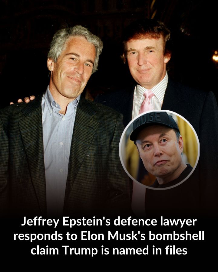 Understanding the Recent Claims Involving Trump, Epstein, and Elon Musk