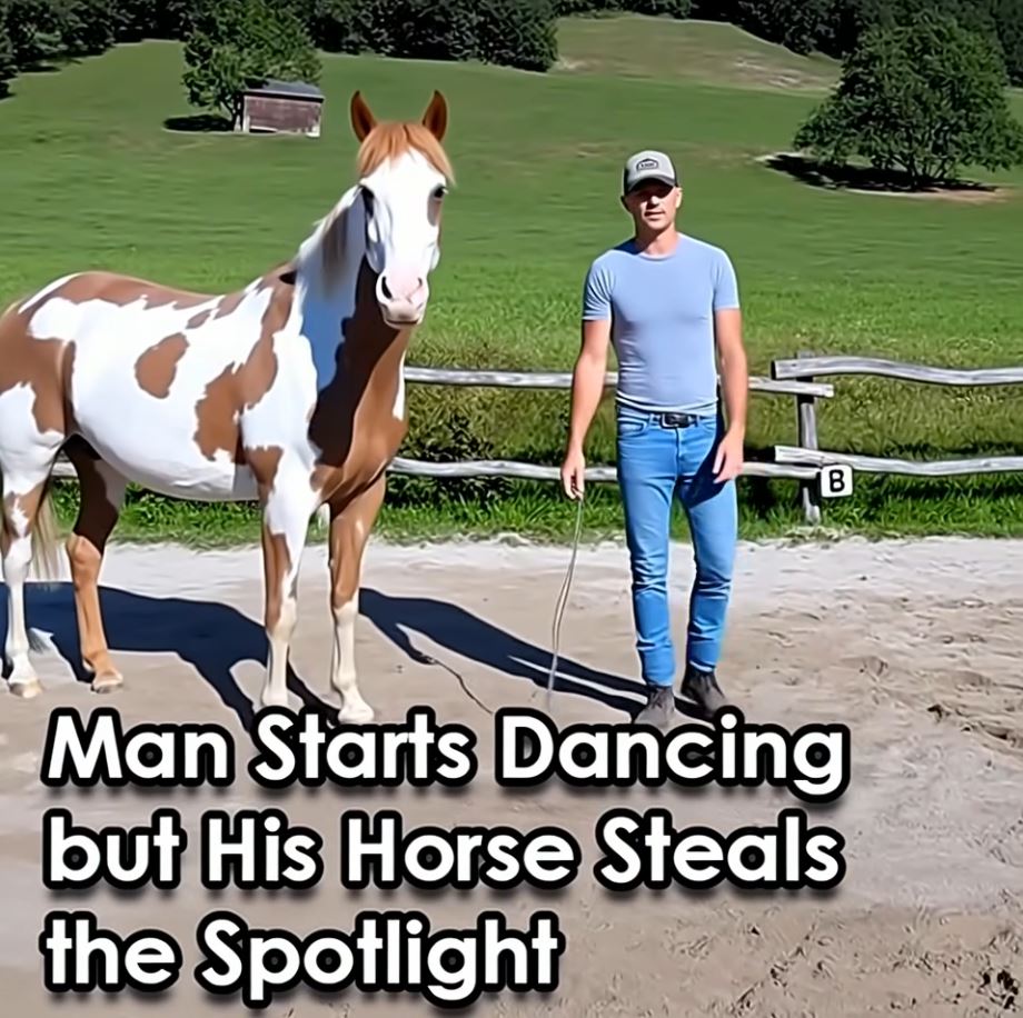 (VIDEO) Man Begins Dancing, but His Horse Takes Center Stage