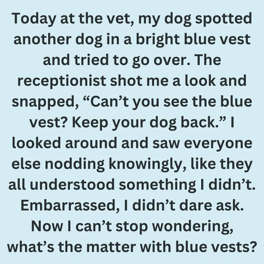 What It Really Means When You See a Dog Wearing Blue Gear