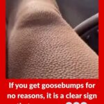 When Goosebumps Might Be More Than Just a Chill: What Your Body Could Be Telling You