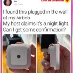 15 Hidden Gems That Almost Broke The Internetp