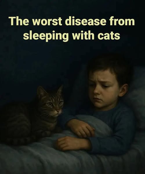 Sleeping With Your Cat Could Be Riskier Than You Think—Here’s Why