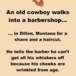 An old cowboy instantly regrets getting a shave