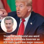 California’s governor delivers a stinging one-word rebuke to Trump as worries about ICE raids escalate