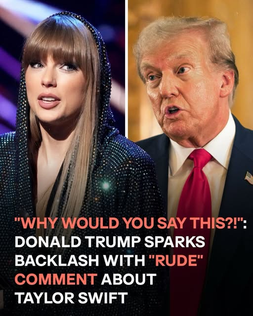 Donald Trumps Rude Comment About Taylor Swift Causes a Stir