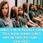 How Many Girls Are In This Picture