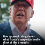 New approval rating shows what Trump’s supporters really think of him 6 months into presidency
