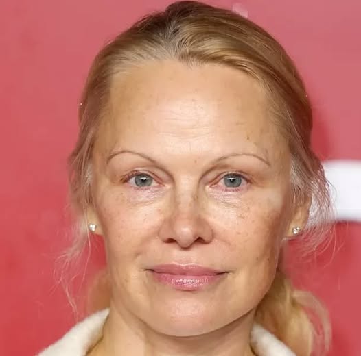 Pamela Anderson Sold Home for $11,8M to Live Alone with 5 Dogs in Grandparents Former Farm Home, A Look Inside