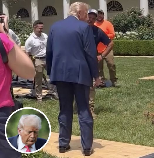 Photo Of Trump At White House Rose Garden Turns Heads After People Spot Small Detail